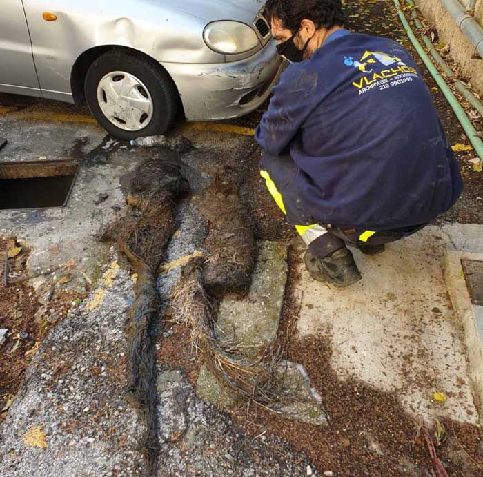 Τεχνικός έχει αφαιρέσει ρίζες από την αποχέτευση.